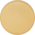 Custom Challenge Coin